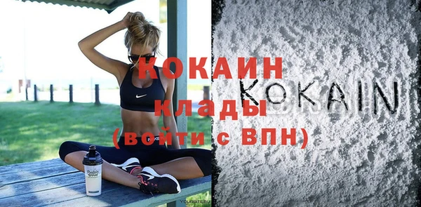 соль ск Алексин