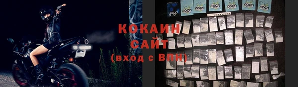 соль ск Алексин
