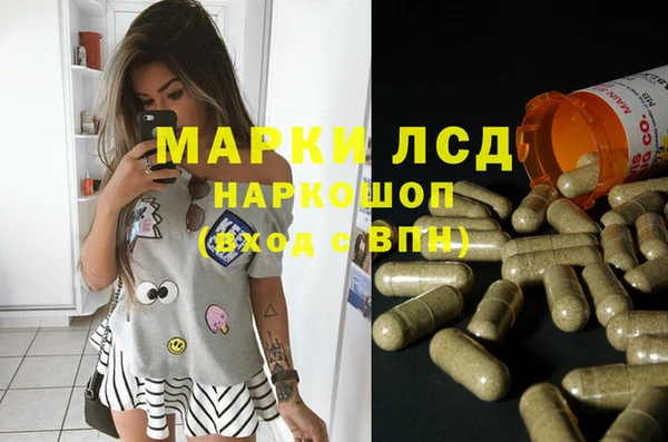 соль ск Алексин