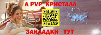 прущие грибы Сланцы