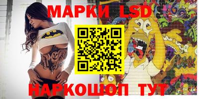 прущие грибы Сланцы