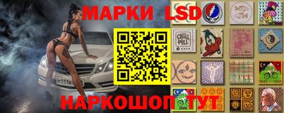 прущие грибы Сланцы