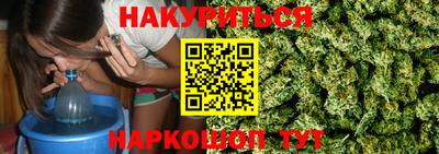 прущие грибы Сланцы