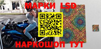 прущие грибы Сланцы
