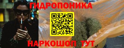 прущие грибы Сланцы