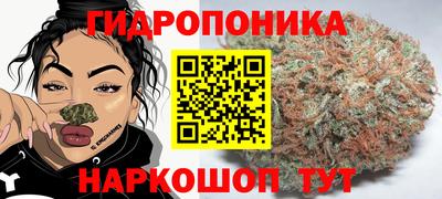 PSILOCYBIN Славгород