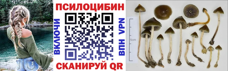 Галлюциногенные грибы MAGIC MUSHROOMS Первоуральск