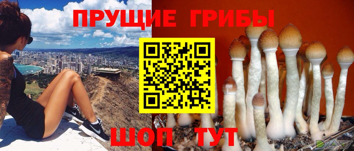 Псилоцибиновые грибы мухоморы  Вход с VPN  Первоуральск  что такое наркотик  Галлюциногенные грибы мухоморы 