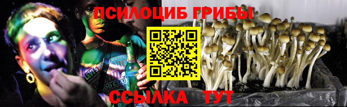 Галлюциногенные грибы MAGIC MUSHROOMS Первоуральск